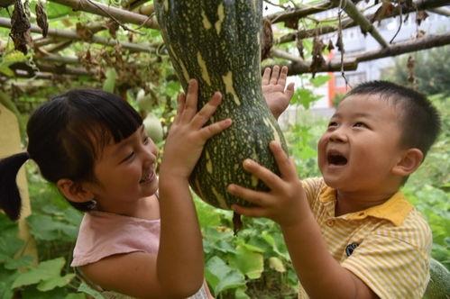 最新校园瓜爆料,揭秘最新校园瓜爆料背后的真相  第2张